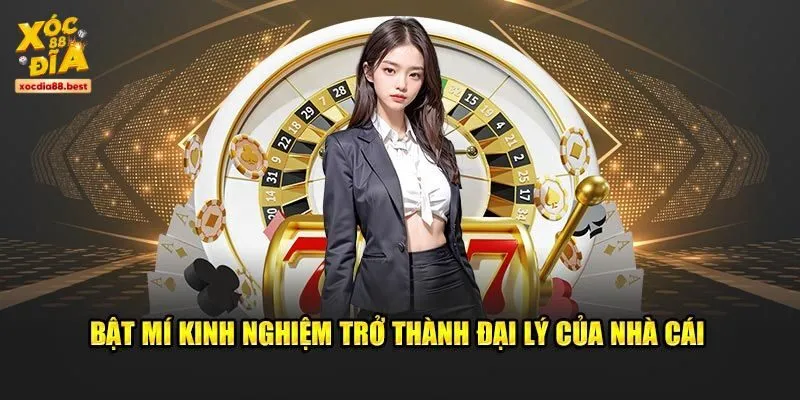 Làm đại lý được hưởng nhiều quyền lợi hấp dẫn